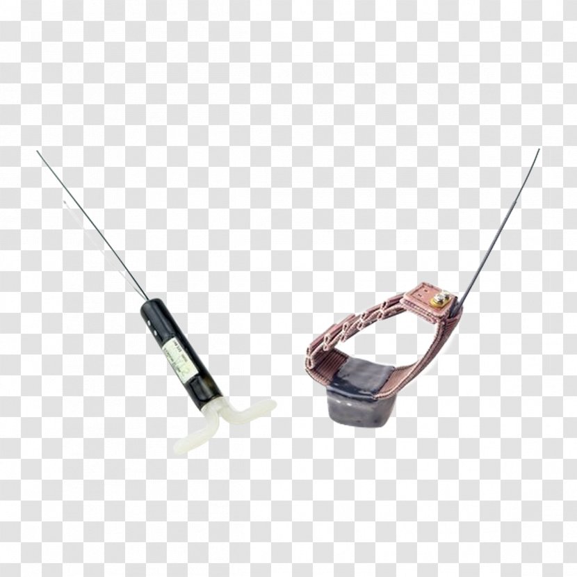 Wildlife Radio Telemetry Transmitter Tracking Collar Biotelemetry - Technology Transparent PNG