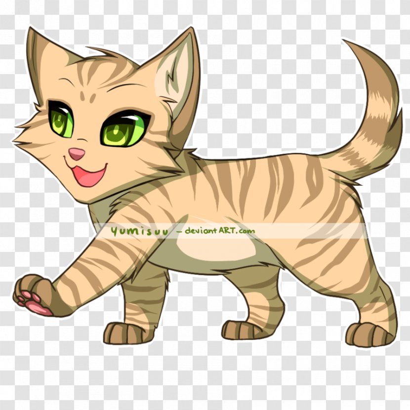 Kitten Tabby Cat Whiskers Wildcat - Tree Transparent PNG