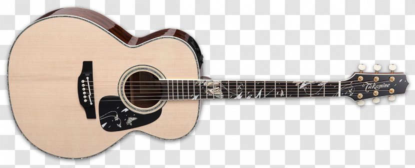 Twelve-string Guitar Takamine Guitars Pro Series P3DC Acoustic Dreadnought - Watercolor Transparent PNG