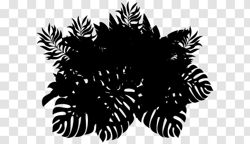 Pine Flower Pattern Silhouette Leaf - Botany - Flowering Plant Transparent PNG