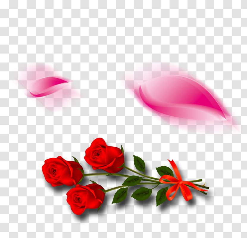 Poster - Petal - Rose Transparent PNG