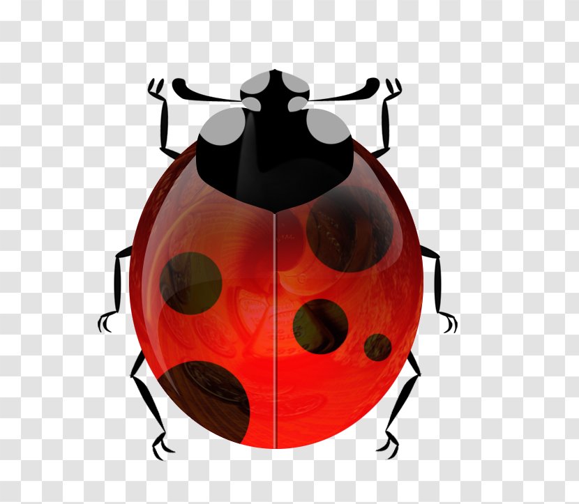 Beetle Ladybird Elytron Coccinella Septempunctata - Invertebrate - Ladybug Transparent PNG