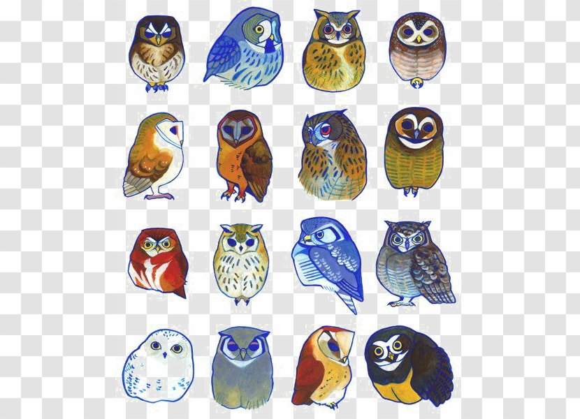 Owl Bird Drawing Illustration - Cuteness Transparent PNG