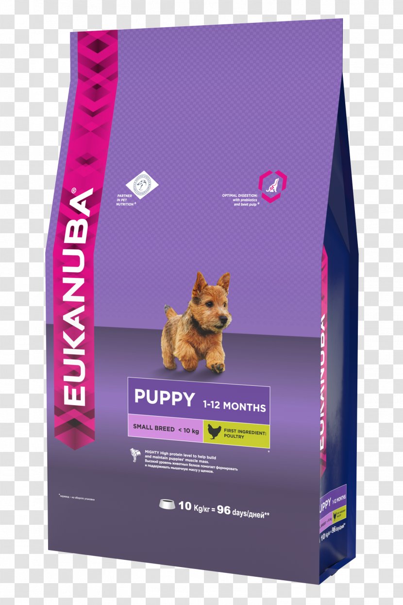 Puppy Dog Food Eukanuba Breed Transparent PNG