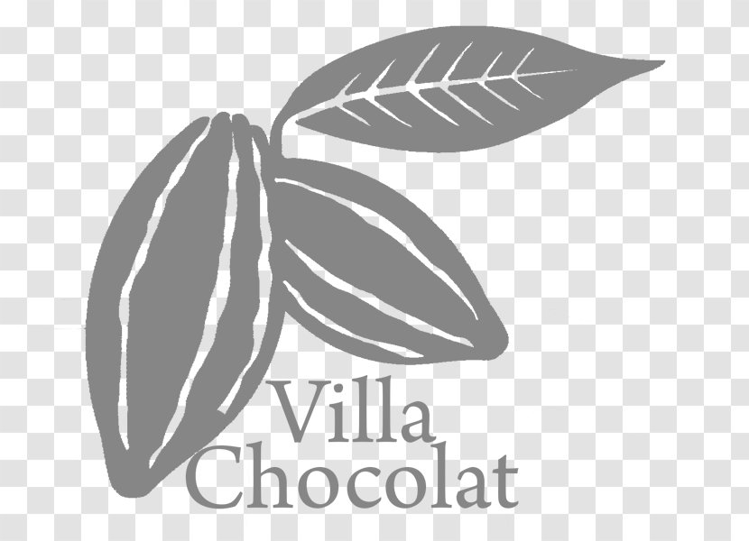 Villa Chocolat Luxury Comfort Komodo National Park - Vasanti Seminyak Bali Transparent PNG