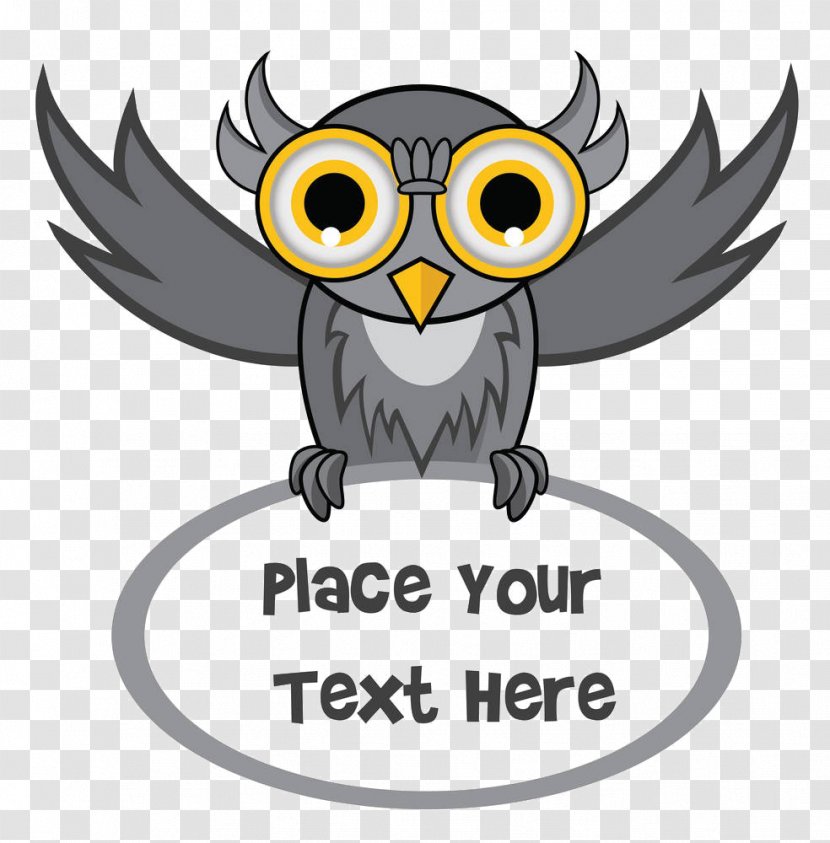 Owl Photography Illustration - Vertebrate - Cartoon Transparent PNG