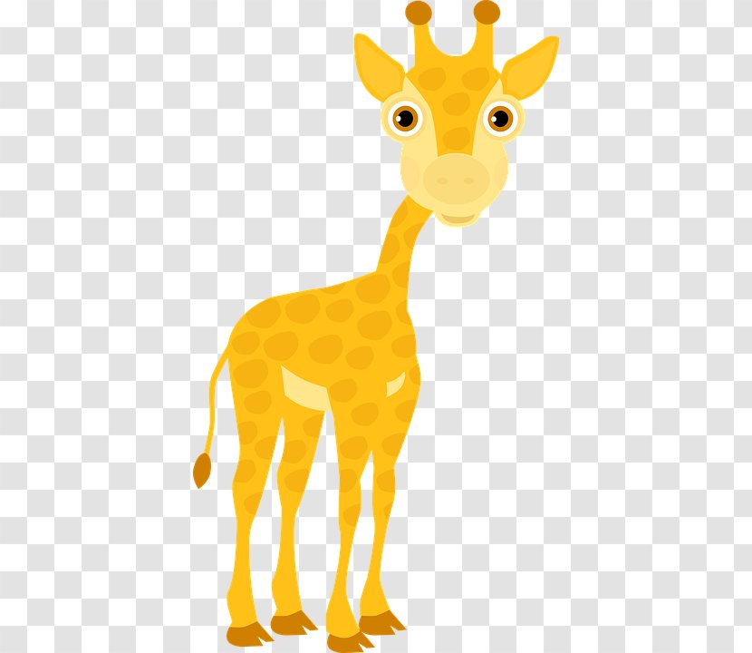 Giraffe Clip Art Vector Graphics Image - Terrestrial Animal Transparent PNG