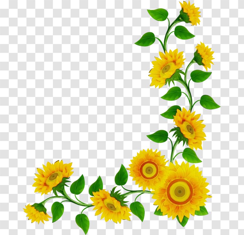 Friendship Day Cartoon - Petal - Wildflower Calendula Transparent PNG