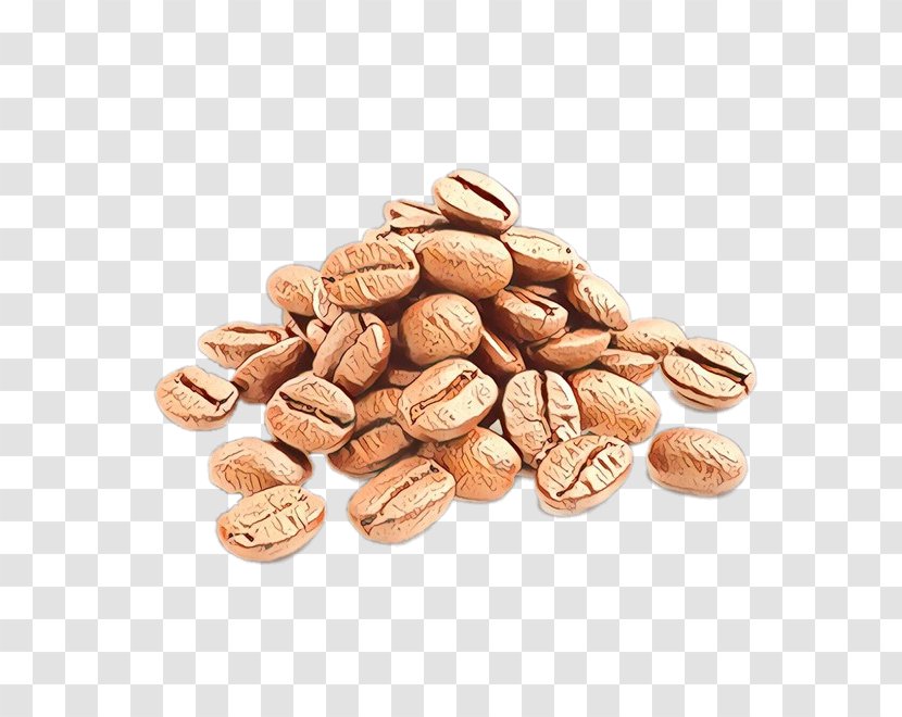 Food Nuts & Seeds Plant Nut Bean - Superfood - Ingredient Transparent PNG