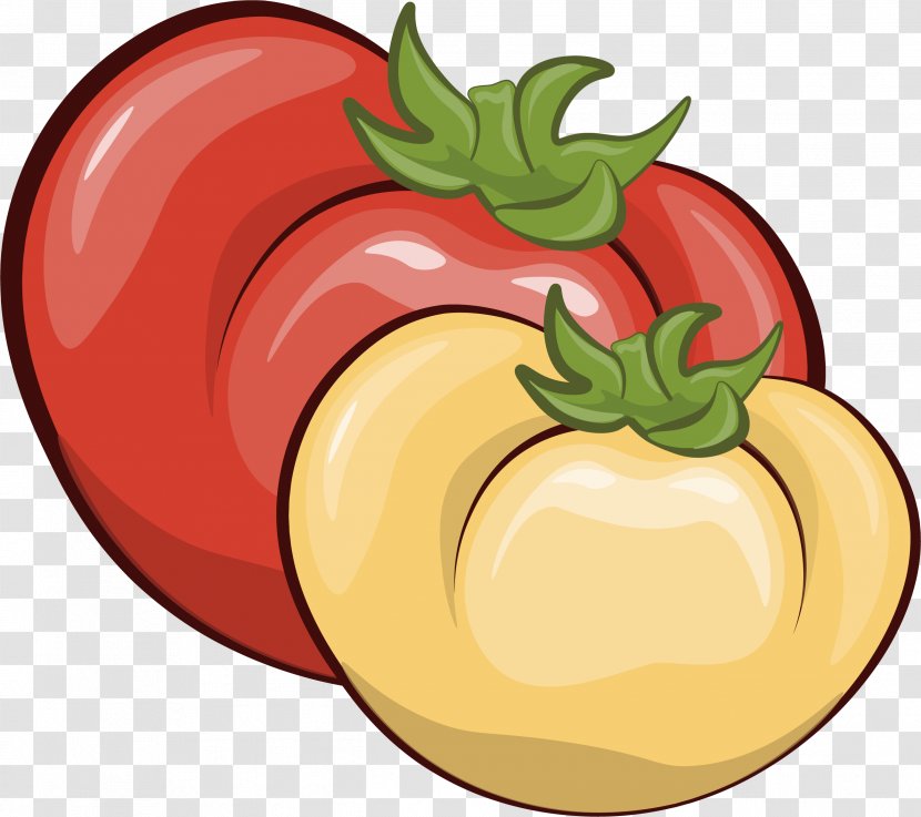Tomato Vegetable Food Illustration - Farming - Two Tomatoes Transparent PNG