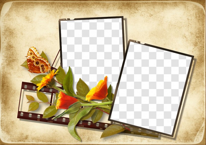 Picture Frame - Paper - Flower Transparent PNG