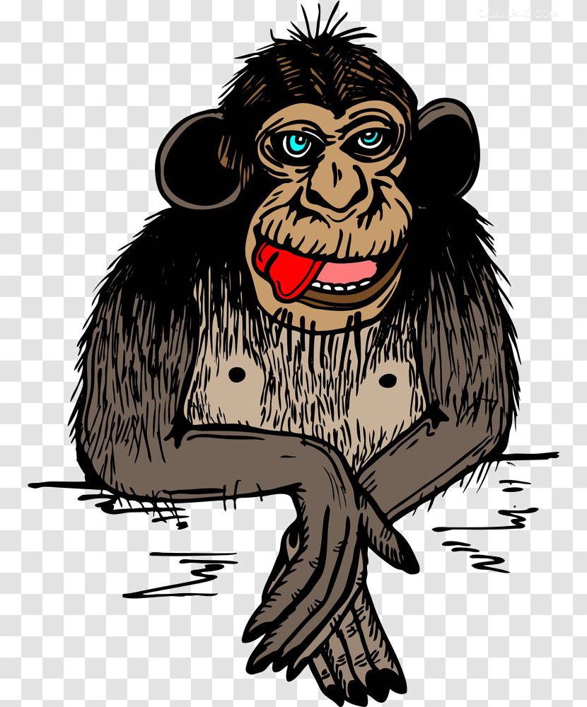 Gorilla Cartoon Drawing - Great Ape - Material Transparent PNG