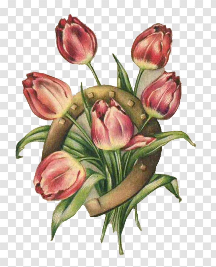 Cut Flowers Tulip - Painting - Wonderland Transparent PNG