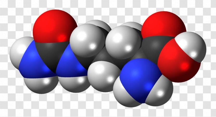 Citrulline Dietary Supplement Nitric Oxide Amino Acid Arginine - Flower - L Transparent PNG