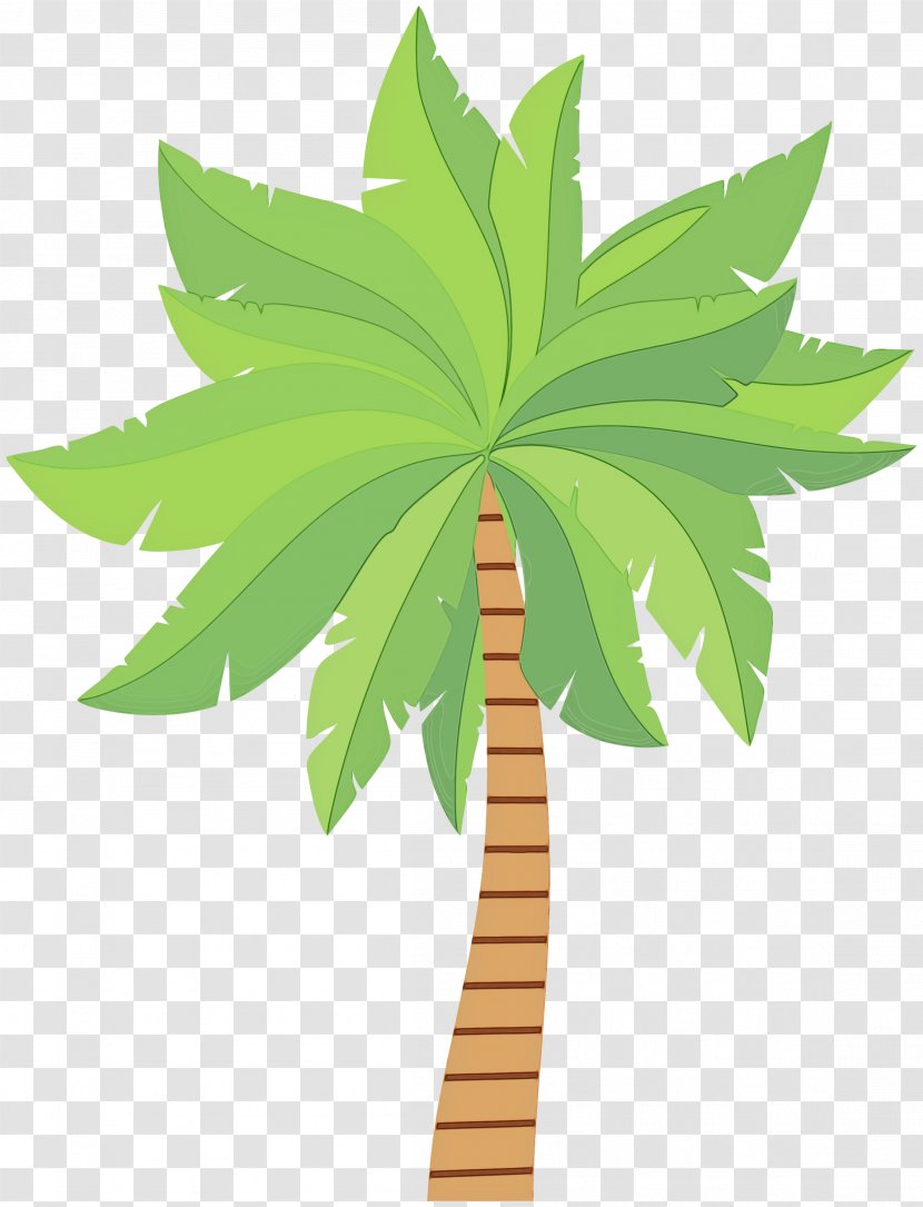 Palm Trees Illustration Plant Stem Hemp Graphics - Tree Transparent PNG