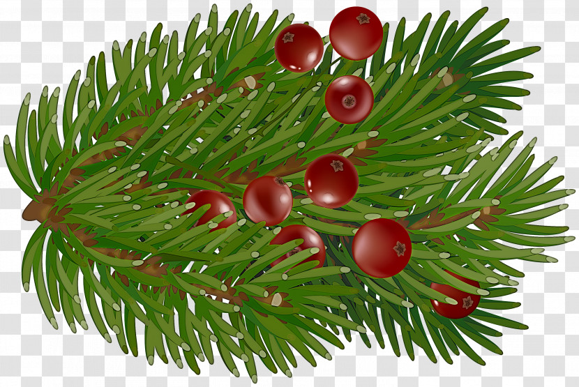 Christmas Day Transparent PNG