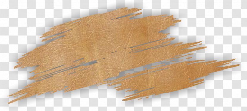 Wood /m/083vt Transparent PNG