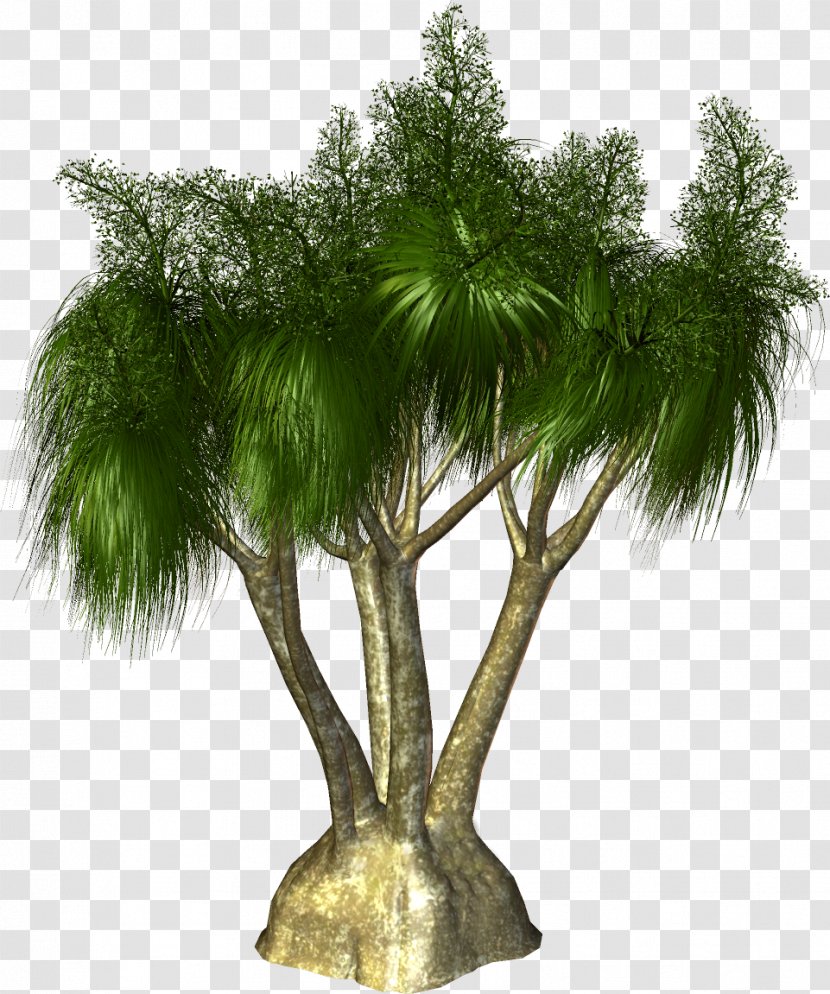 Arecaceae Tree Plant Clip Art - Flowerpot - Palm Transparent PNG