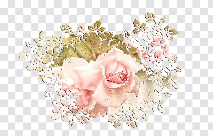 Garden Roses Black And White Cut Flowers - Flower Bouquet - Rose Transparent PNG