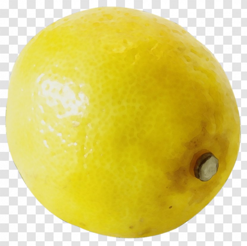 Lemon Dog Citric Acid Product Market - Food - Yellow Transparent PNG