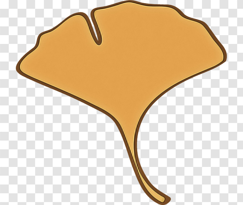 Orange Transparent PNG