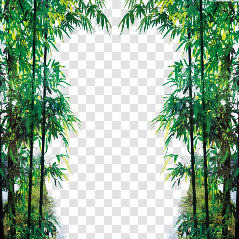 Euclidean Vector Download Icon - Fukei - Bamboo Fam Transparent PNG