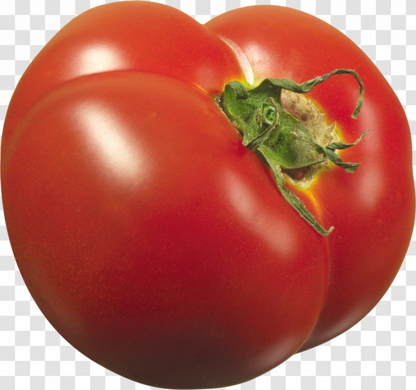 Plum Tomato Bush Cherry Vegetable Vegetarian Cuisine - Organic Pepper Transparent PNG