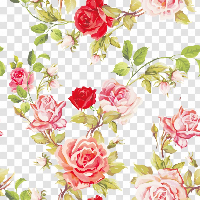 Garden Roses - Flower - Rose Family Plant Transparent PNG