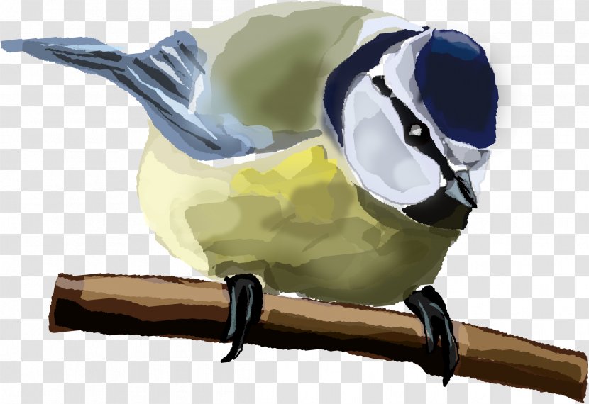 Bird House Sparrow Thrush Eurasian Blue Tit - Pale Transparent PNG