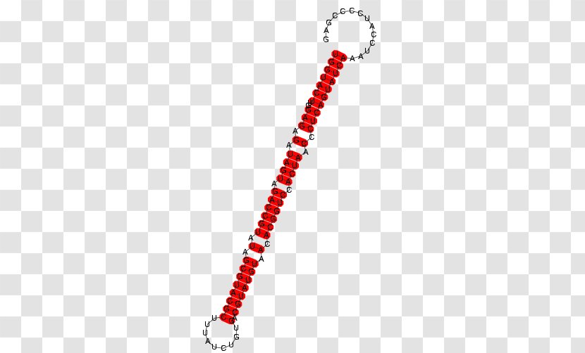 Bead Line Necklace Bracelet Point Transparent PNG