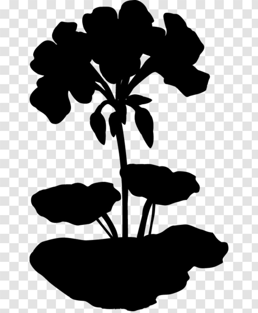 Clip Art Flower Floral Design Vector Graphics Image - Monochrome Photography - Blackandwhite Transparent PNG
