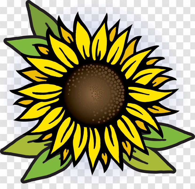 Common Sunflower Royalty-free Drawing - Hand-painted Transparent PNG