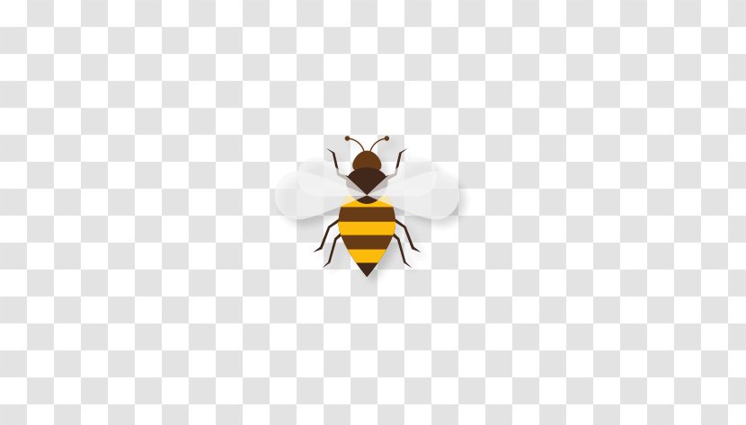 Honey Bee Text Illustration - Insect Transparent PNG