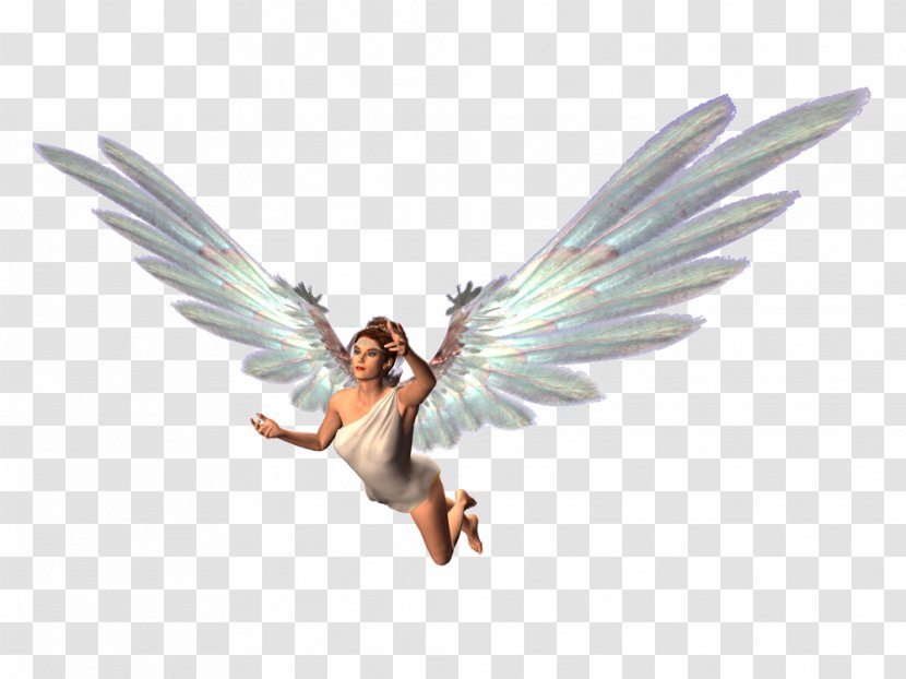 Fairy Desktop Wallpaper - Angel Transparent PNG