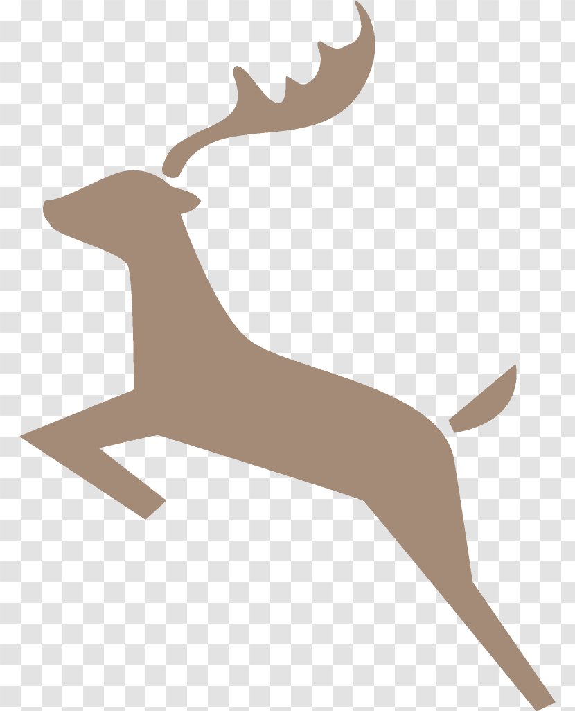 Reindeer Christmas - Logo Wildlife Transparent PNG
