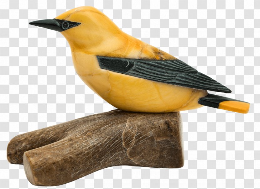 Beak - Bird Transparent PNG