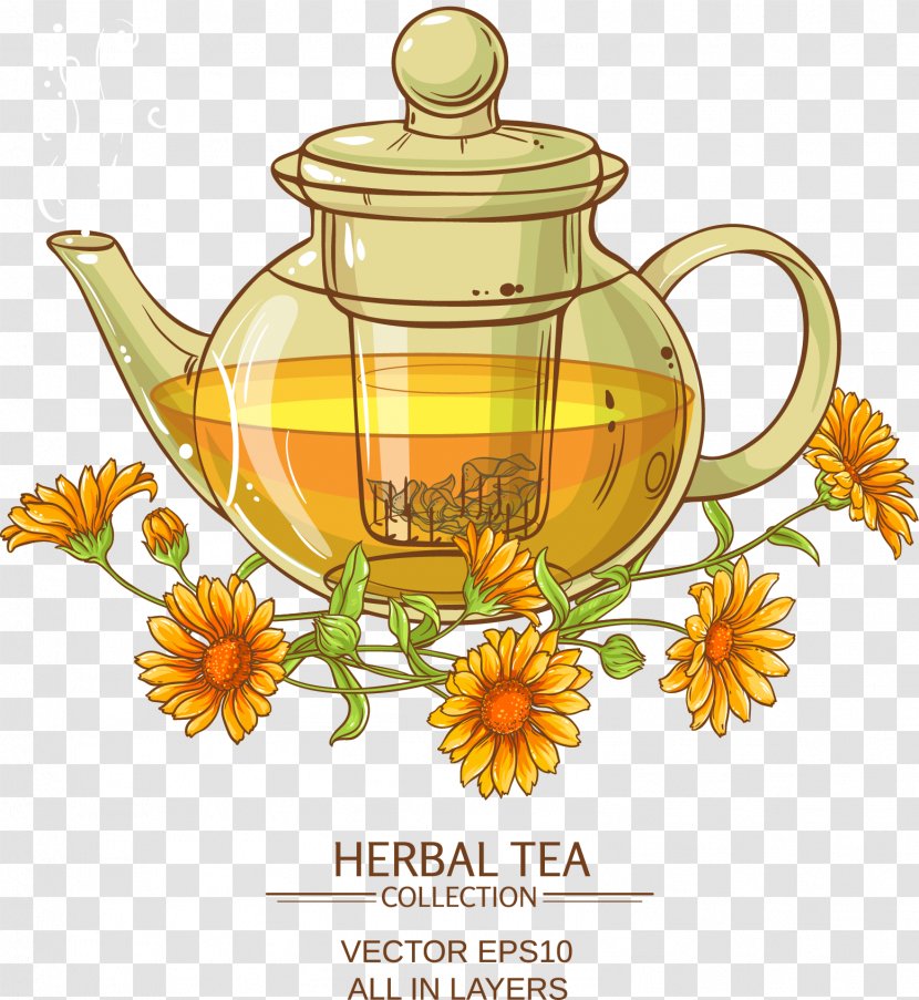 Chrysanthemum Tea Flowering Calendula Officinalis - Large Transparent PNG