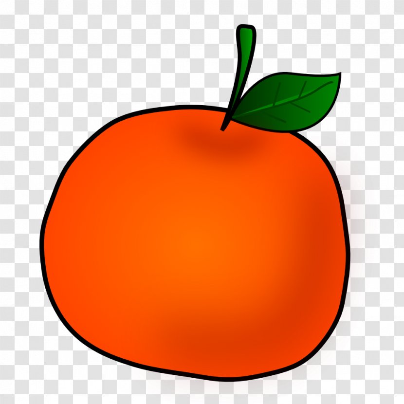 Tangerine Orange Fruit Clip Art - Peel - Cliparts Transparent PNG