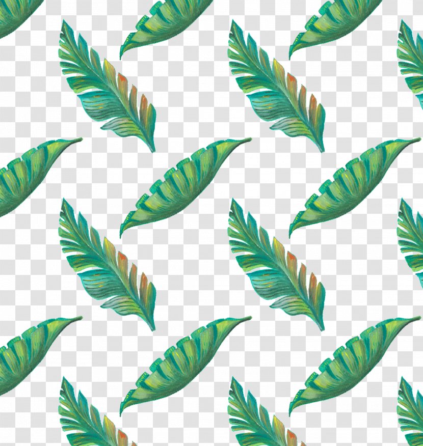 Leaf Tropics Drawing - Organism - Hand Painted Green Tropical Leaves Pattern Transparent PNG