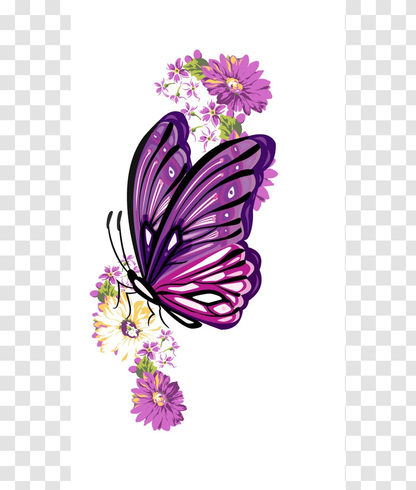 Monarch Butterfly Illustration Clip Art Image Transparent PNG
