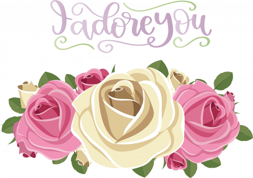 Garden Roses Transparent PNG