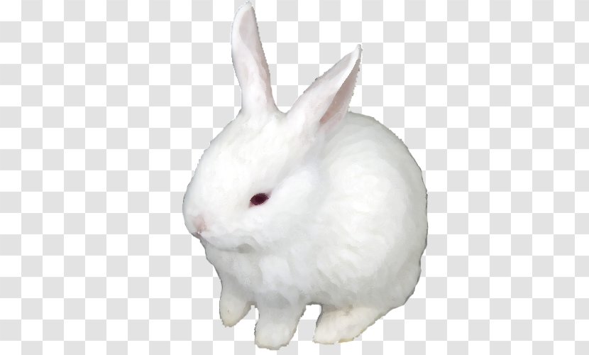 Domestic Rabbit Hare Easter Bunny - Whiskers Transparent PNG
