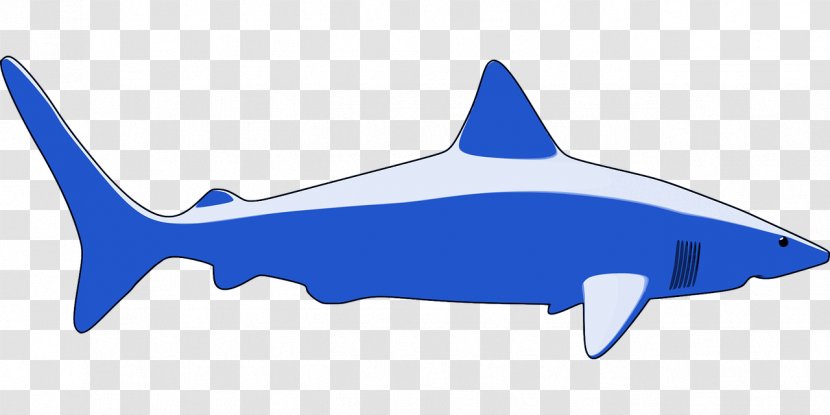 Shark Clip Art - Wing - Blue Transparent PNG