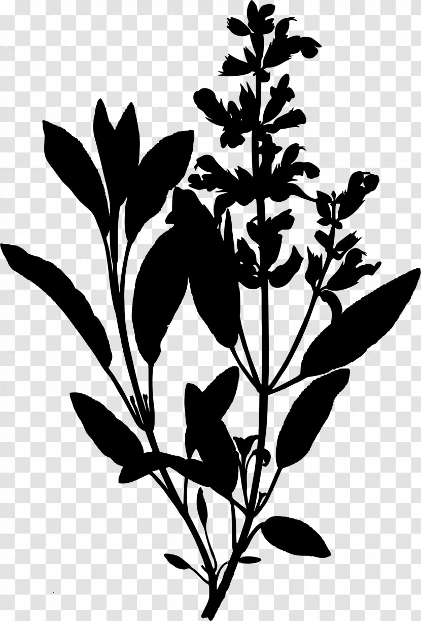 Medicinal Plants Ko Yao District Drawing Clip Art - Monochrome Photography - Tree Transparent PNG