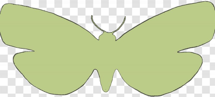 Brush-footed Butterflies Moth Butterfly Green - Brush Footed Transparent PNG