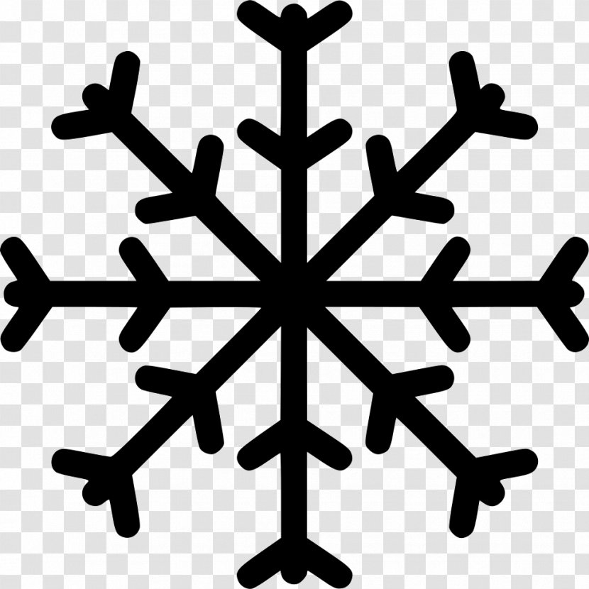Snowflake Rain And Snow Mixed Transparent PNG