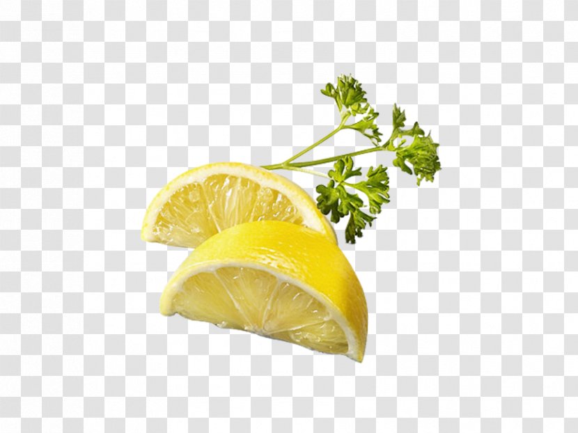 Lemon-lime Drink Lemonade - Citrus - Lemon Transparent PNG