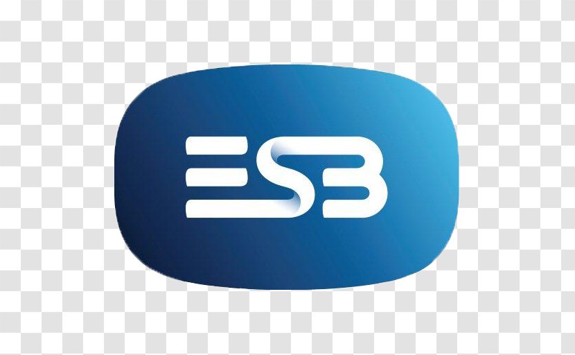 ESB Group Electricity Networks Electric Ireland Computer Network - Esb - Lidl Logo Transparent PNG