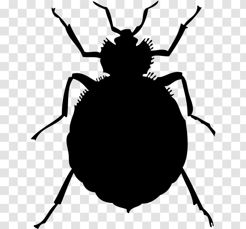 Bed Cartoon - Pest Control - Parasite Weevil Transparent PNG