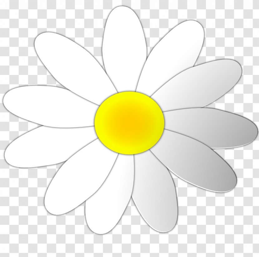 Common Daisy Clip Art - Public Domain - Flower Outline Transparent PNG